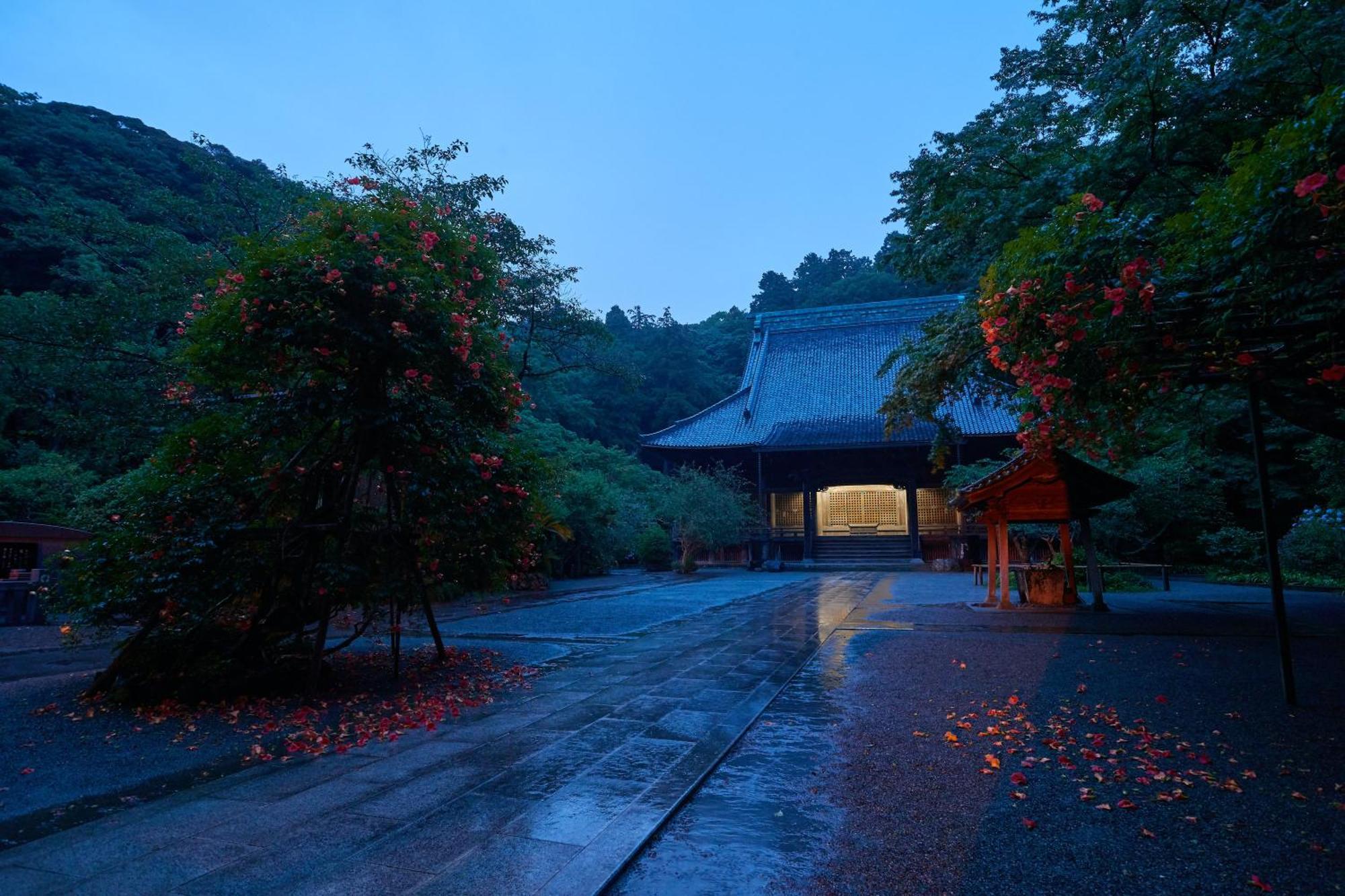 Kamakura Hotel Екстериор снимка