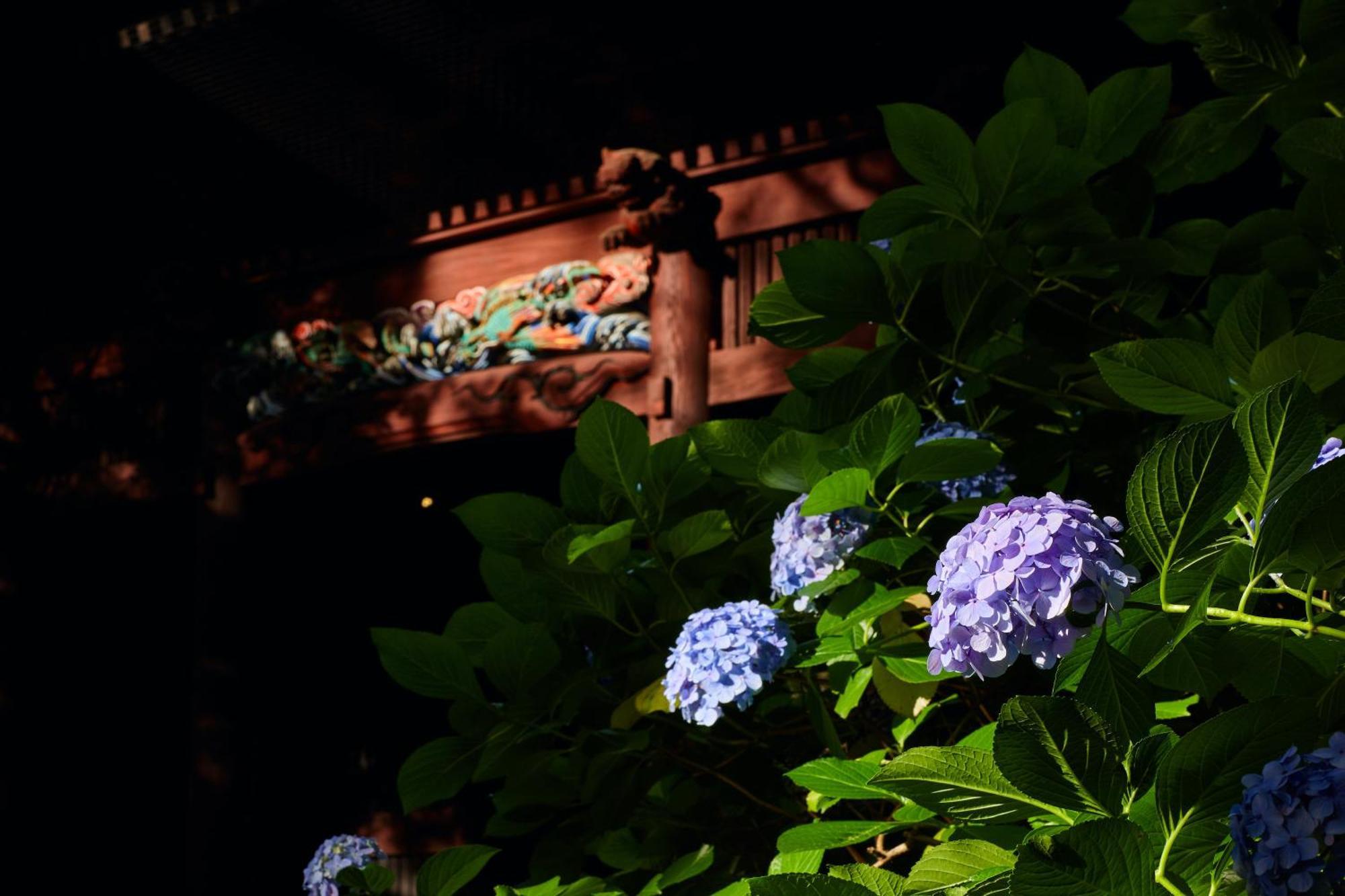 Kamakura Hotel Екстериор снимка