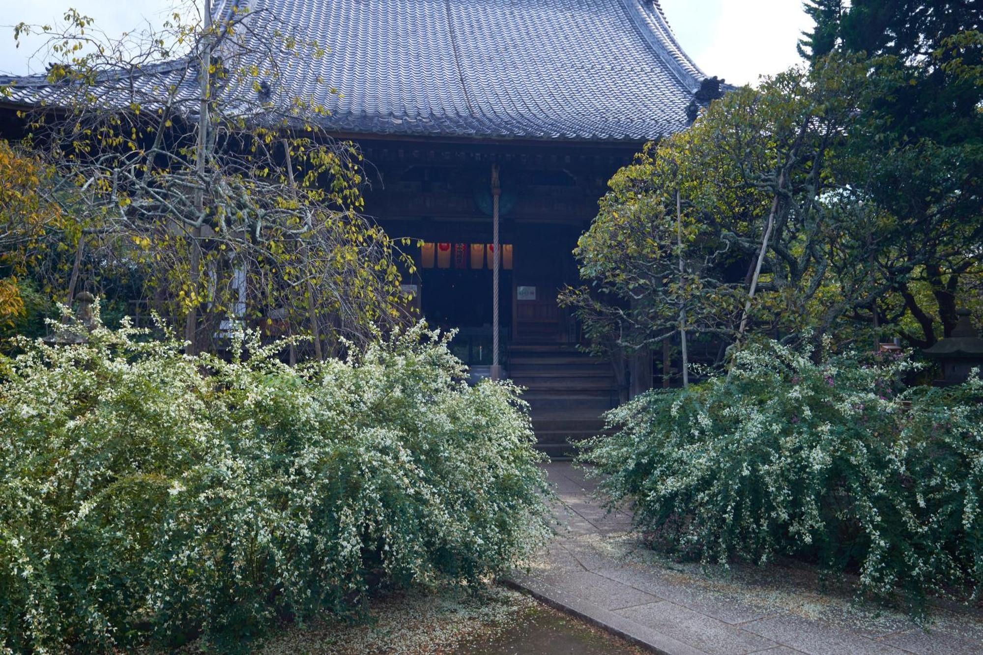 Kamakura Hotel Екстериор снимка