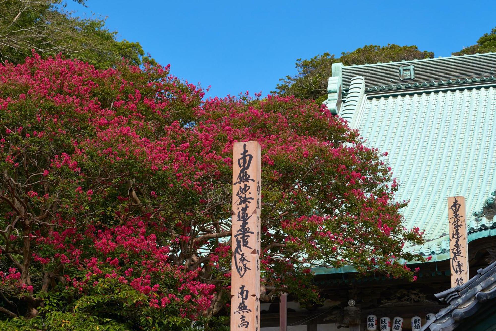 Kamakura Hotel Екстериор снимка