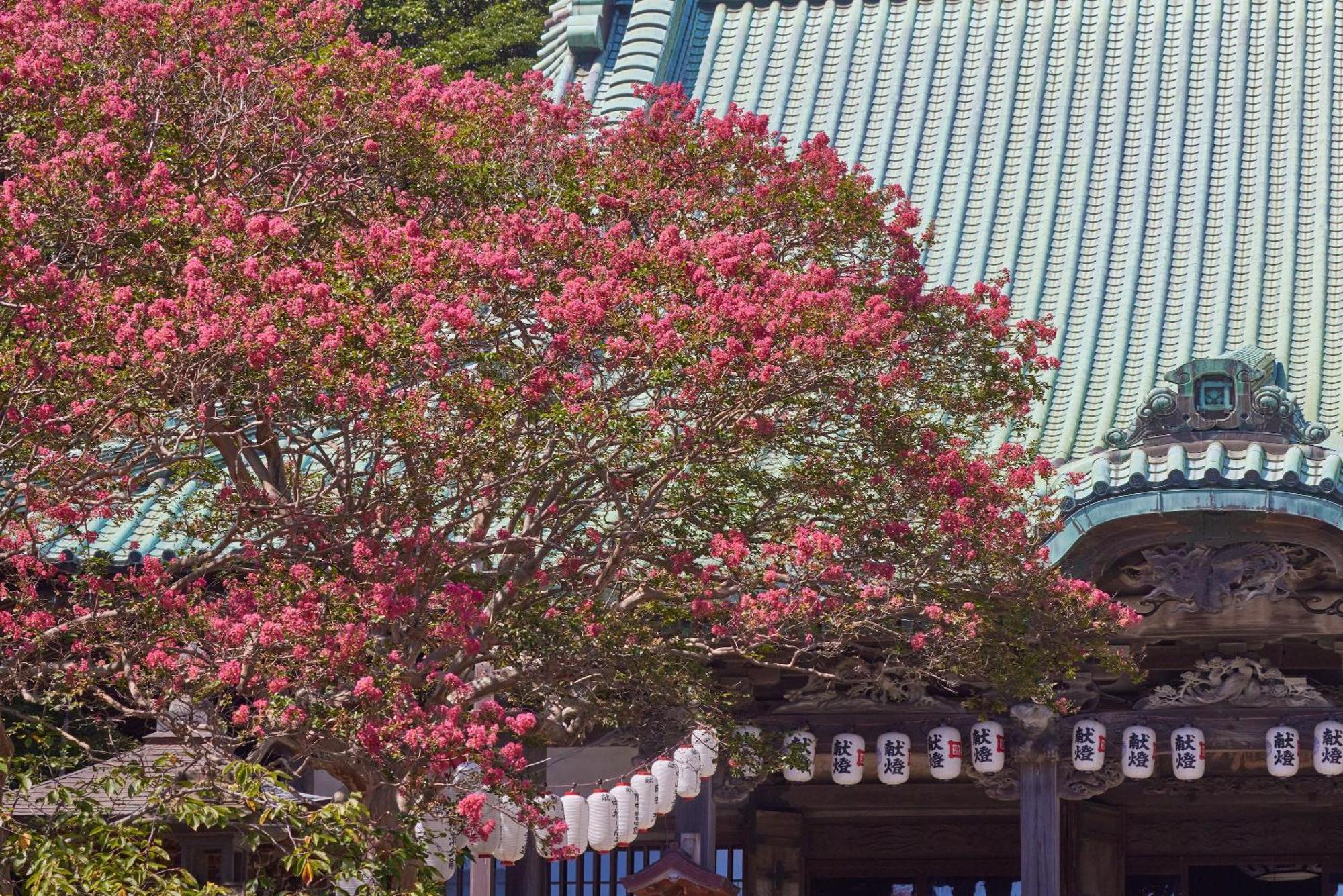 Kamakura Hotel Екстериор снимка